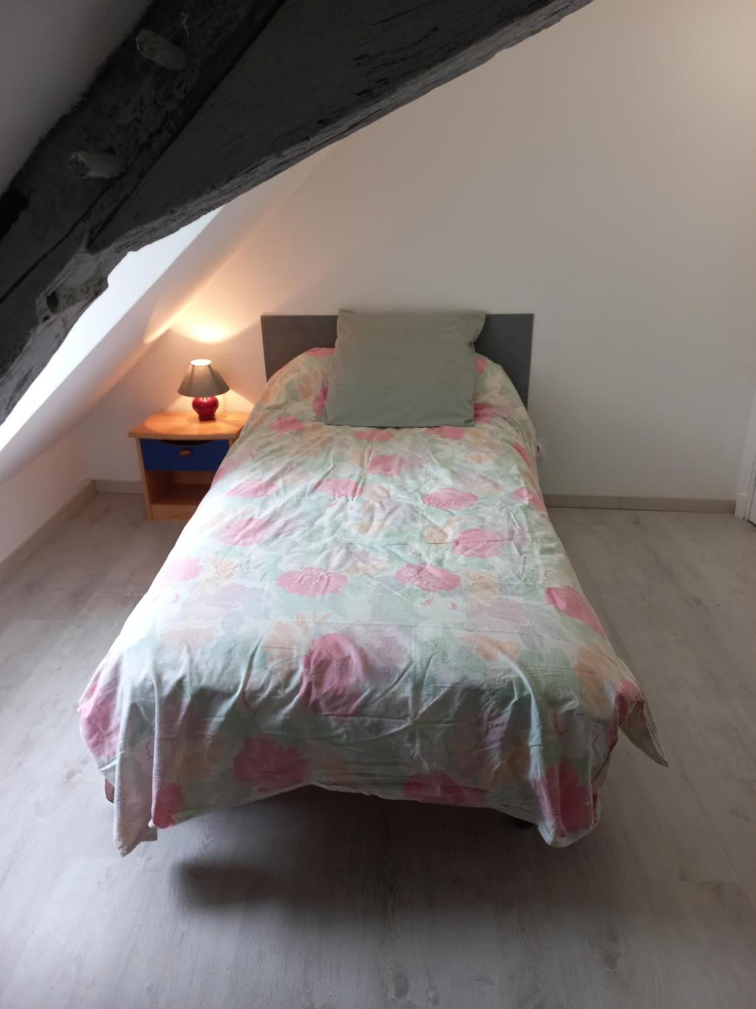Agréable maison de ville au coeur de Chinon Extérieur photo